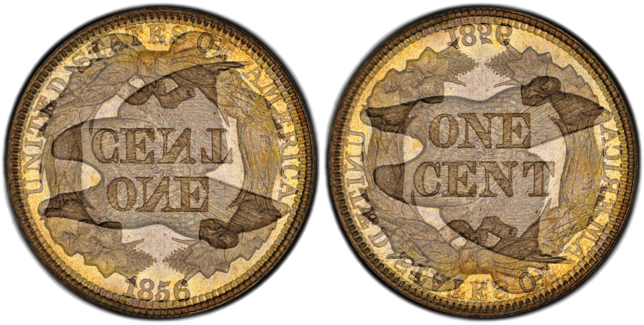 Die clash overlay for Flying Eagle cent showing obverse and reverse superimposed