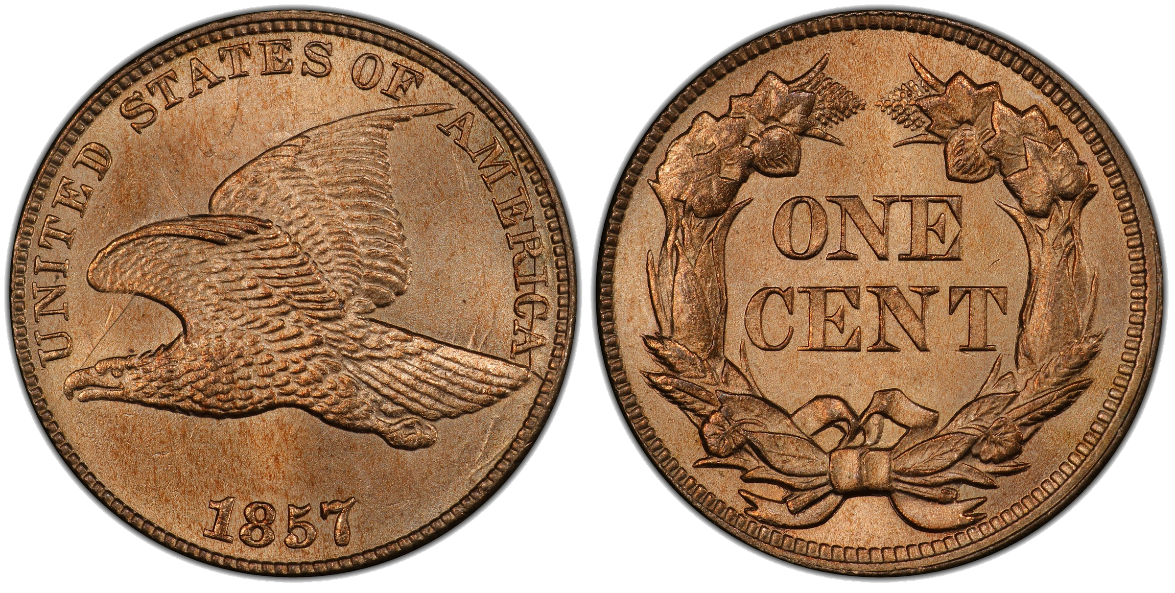 1857 Flying Eagle cent mule die clash with half dollar die