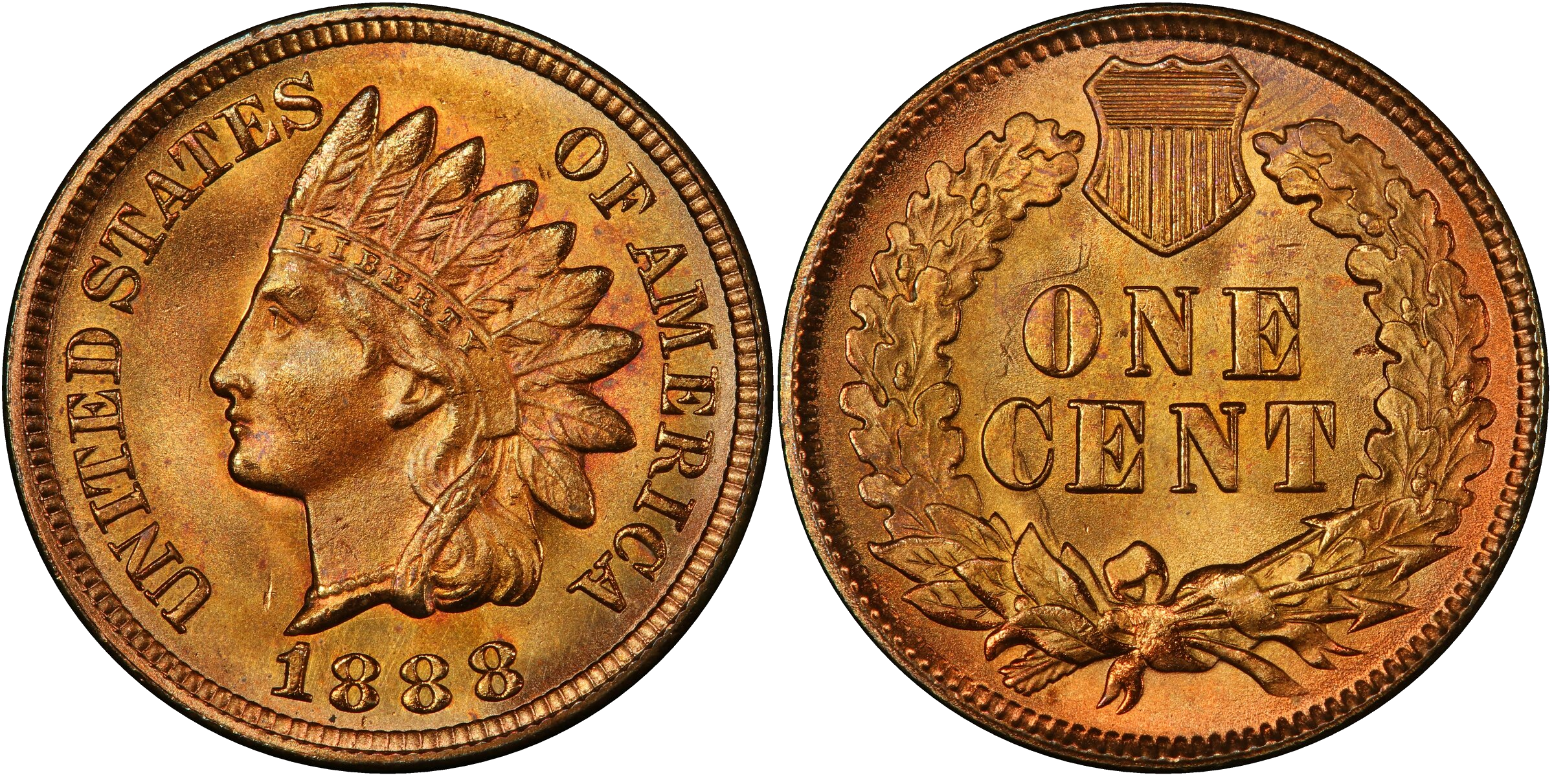 1888 Indian Head cent die clash — full front of Liberty's portrait clashed twice on reverse