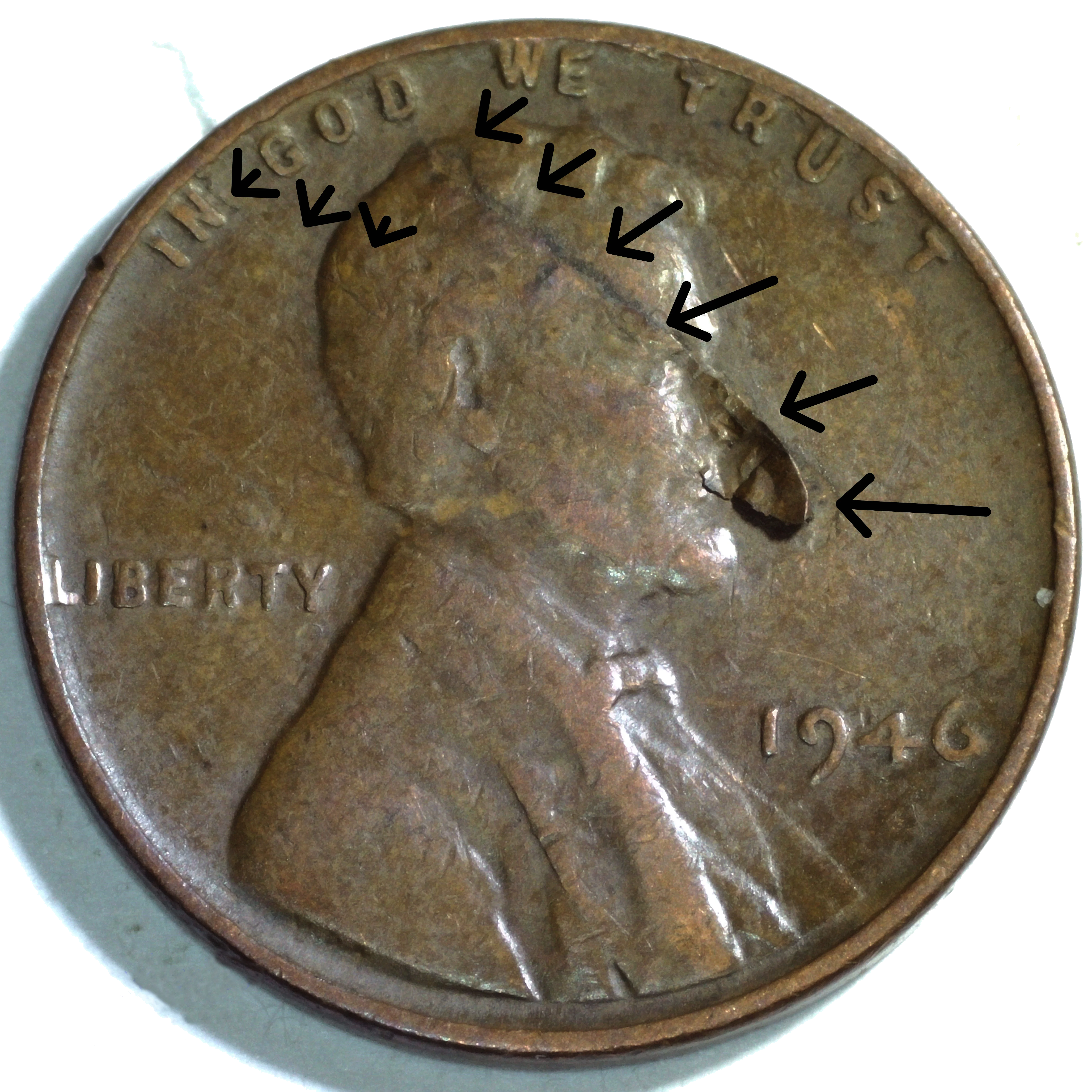 Lamination with flap still attached — retained lamination