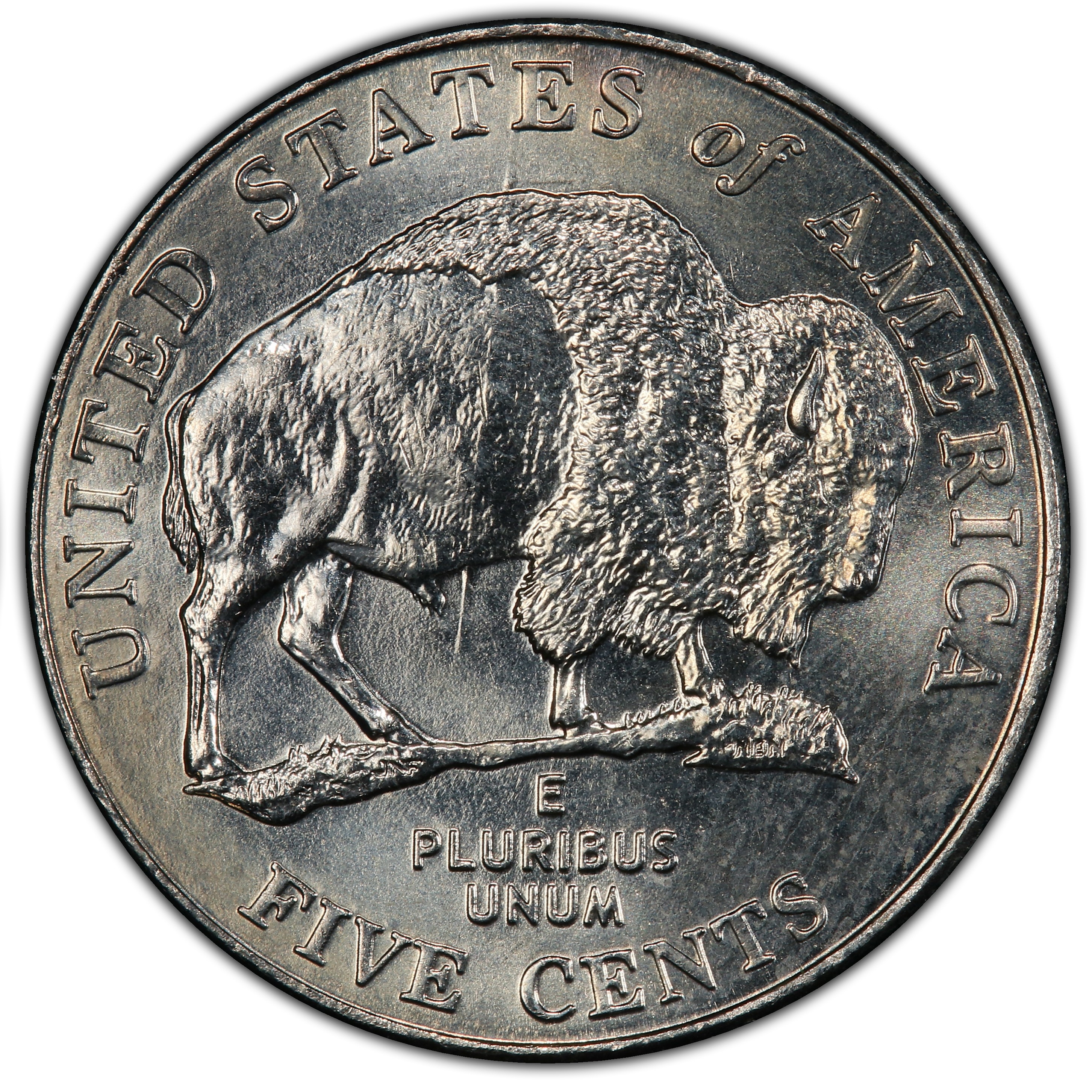 2005 Speared Bison Jefferson nickel reverse showing die gouge through bison