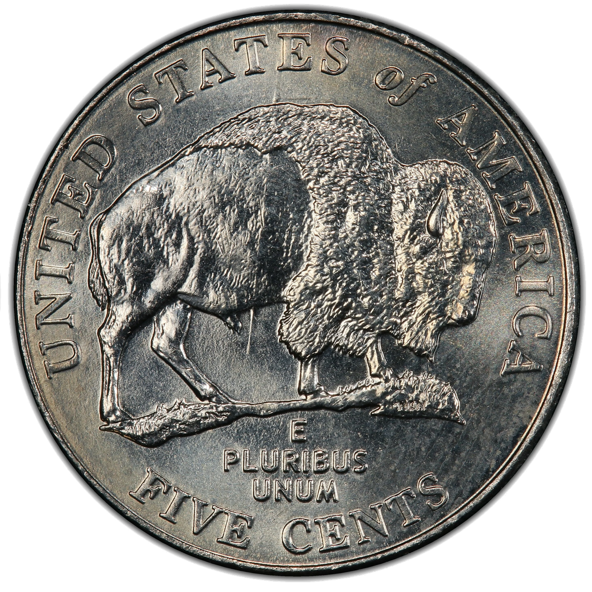 2005 Speared Bison Jefferson nickel reverse showing die gouge through bison