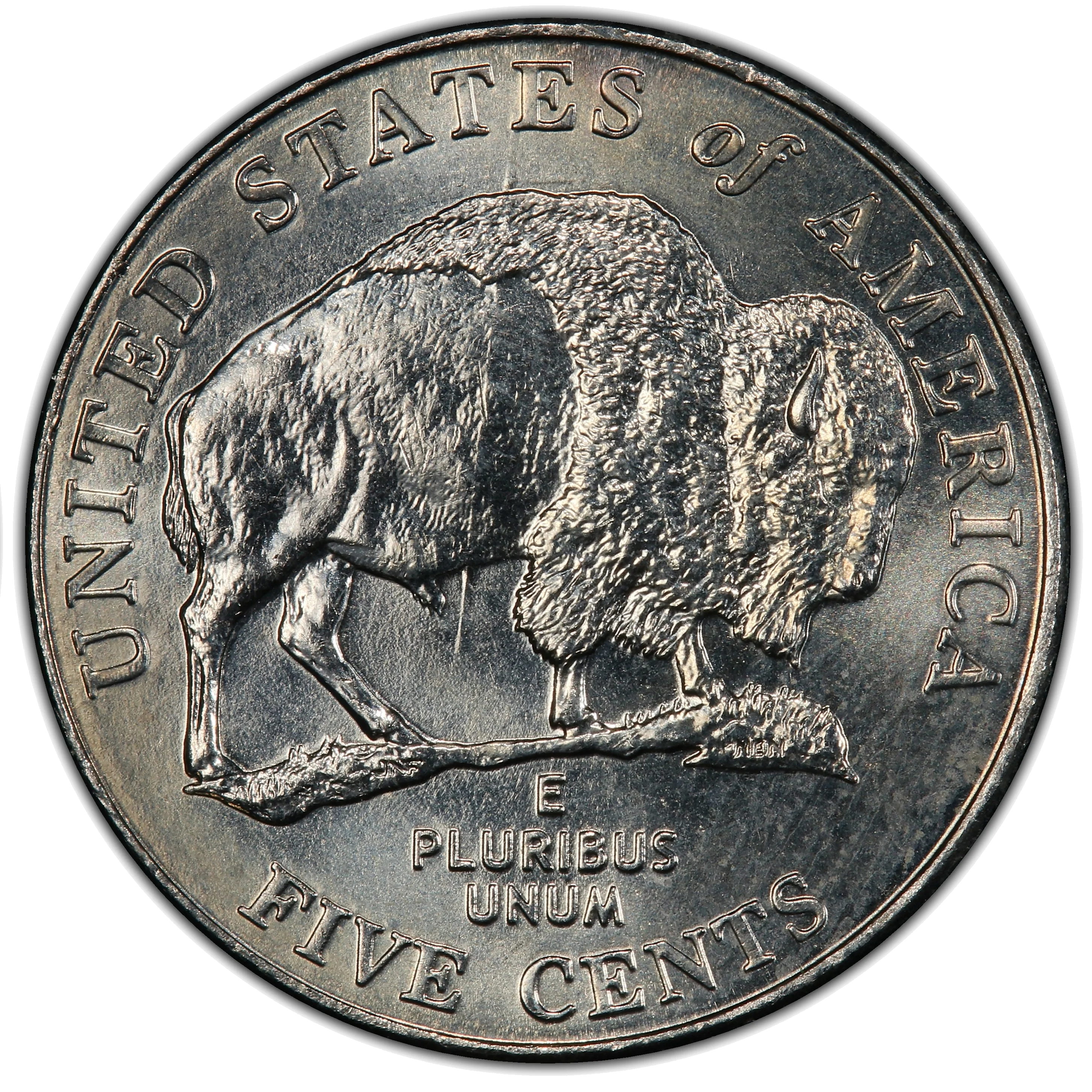 2005 Speared Bison Jefferson nickel reverse showing die gouge through bison