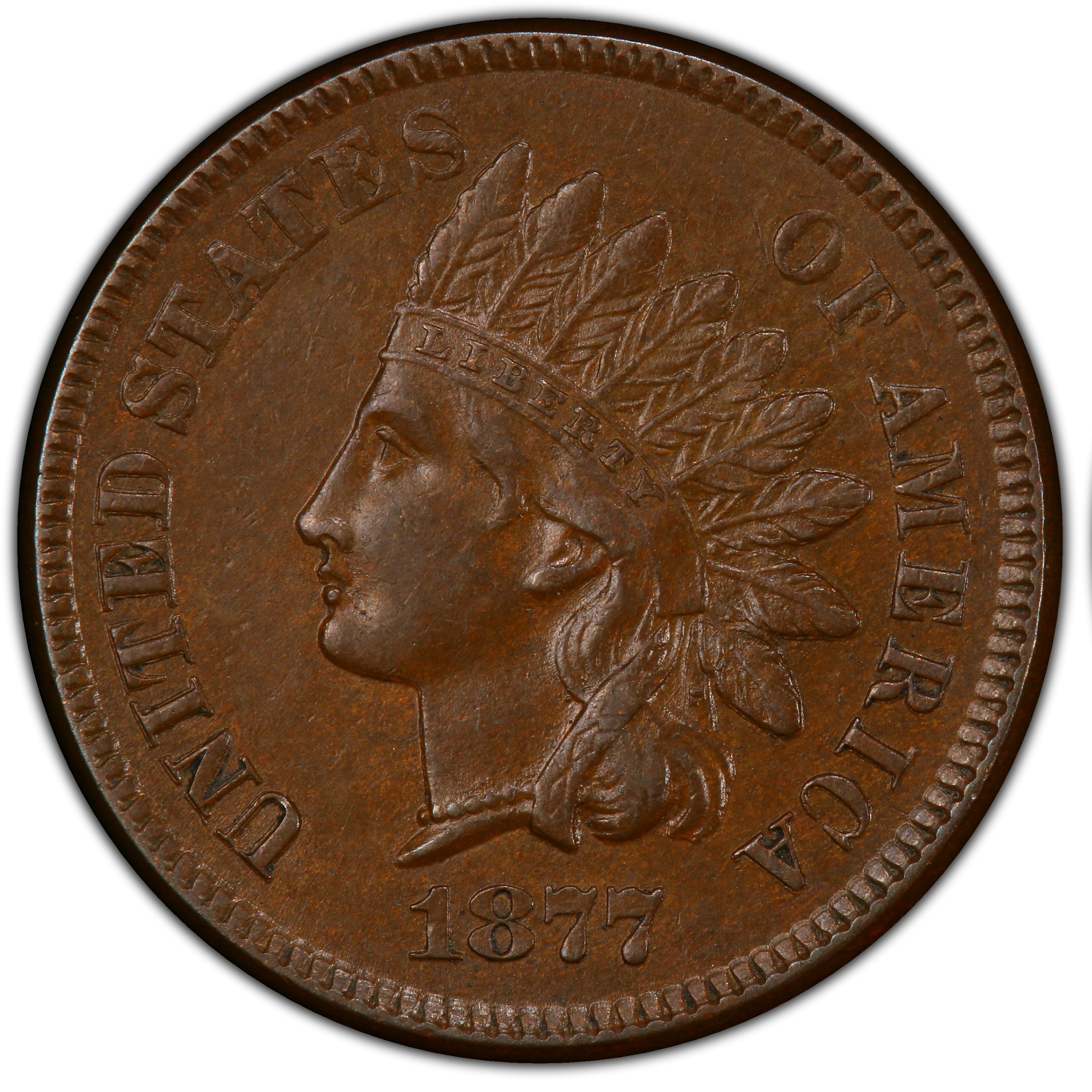 Genuine 1877 Indian Head cent obverse