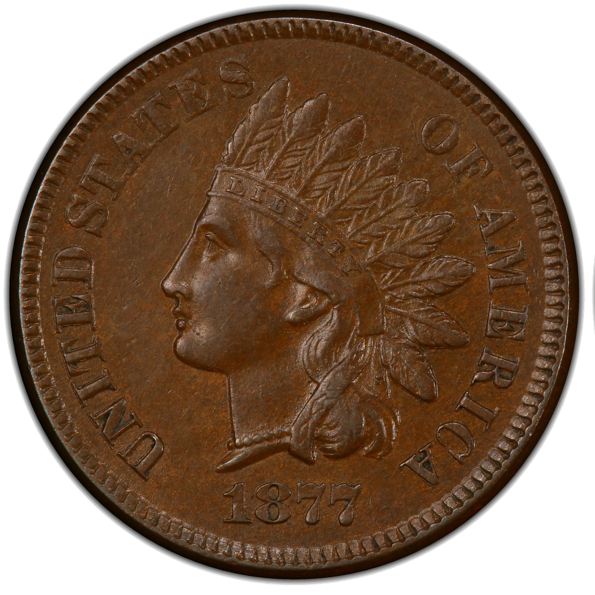 Genuine 1877 Indian Head cent obverse
