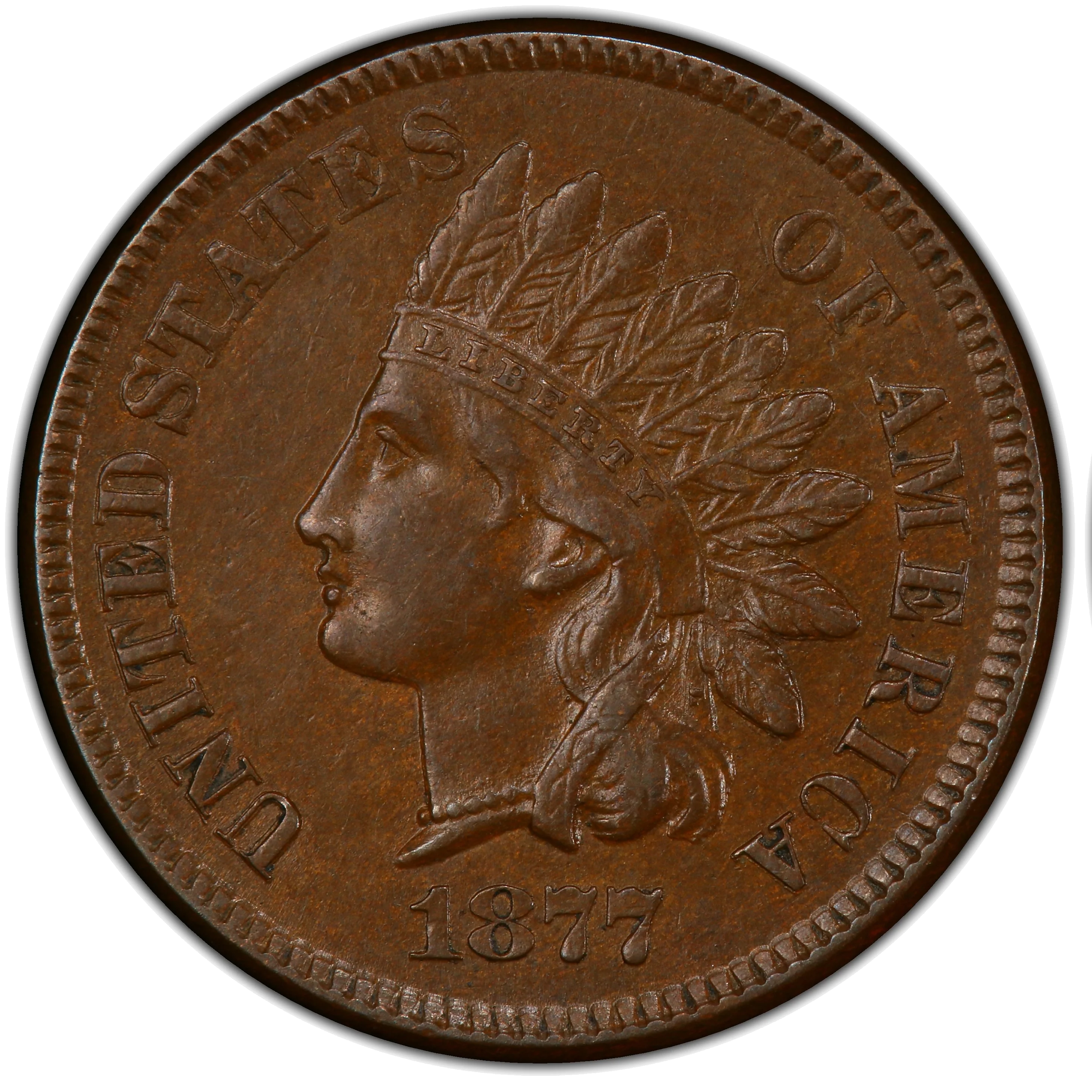 Genuine 1877 Indian Head cent obverse