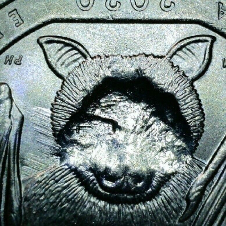 Close-up of the Blind Bat strike-through — the line across the bat’s face is clearly visible