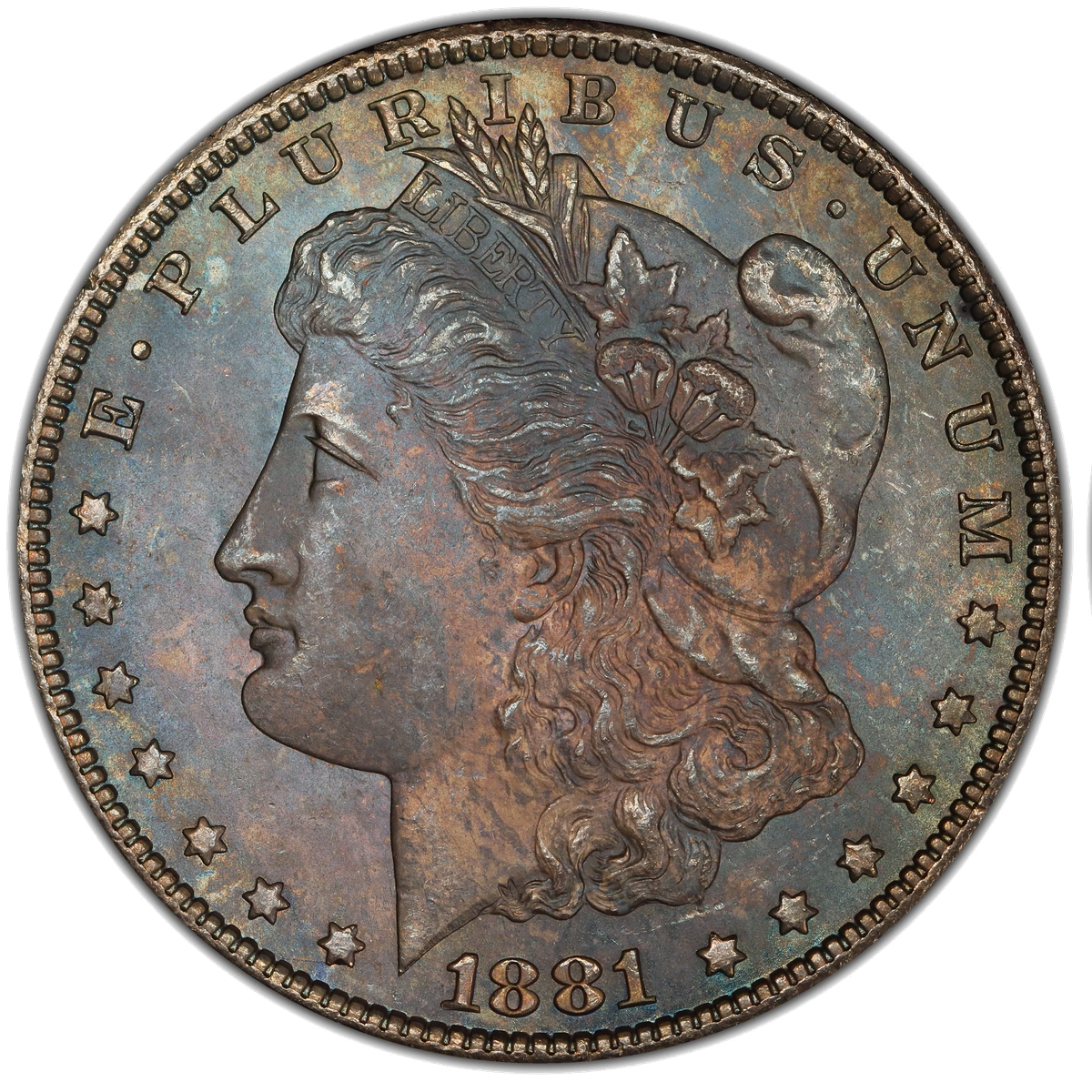 Morgan dollar obverse showing Lady Liberty