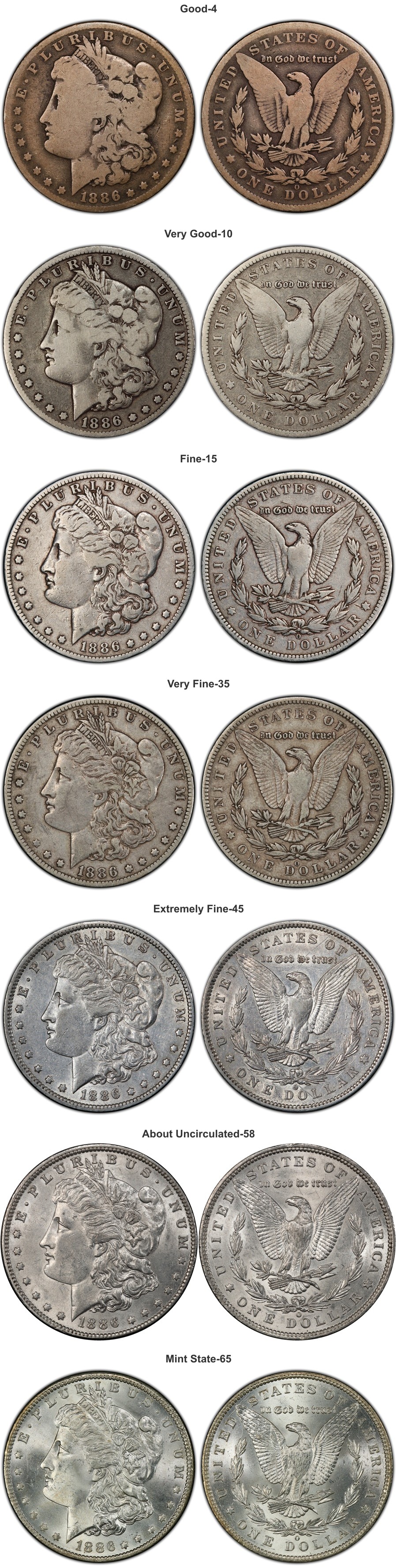Morgan dollar grading progression from Good-4 through Mint State-65