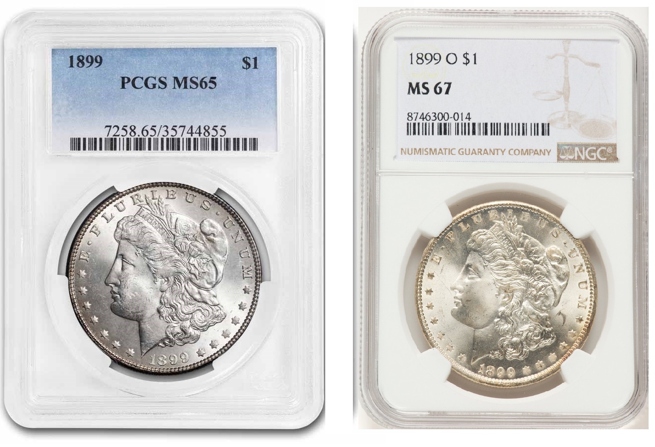 PCGS and NGC holders side by side showing label and holder design differences