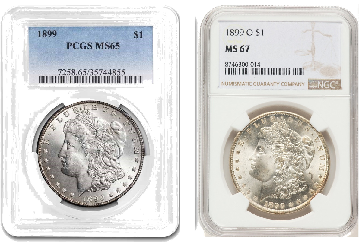 PCGS and NGC holders side by side showing label and holder design differences