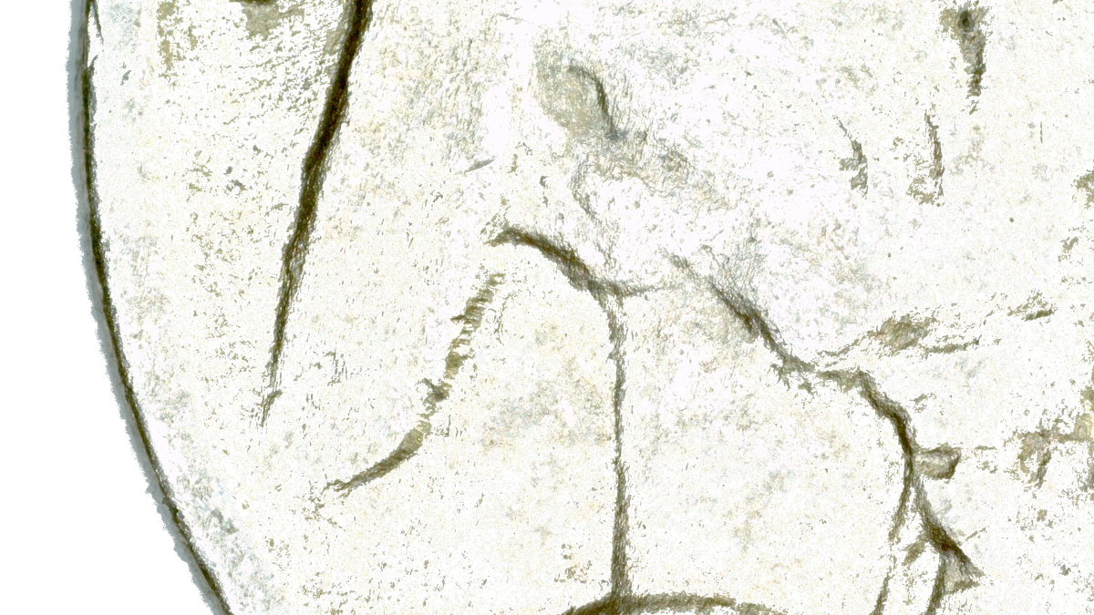 Close-up of the 1917-D Two Feather variety showing only two feathers in the headdress braid