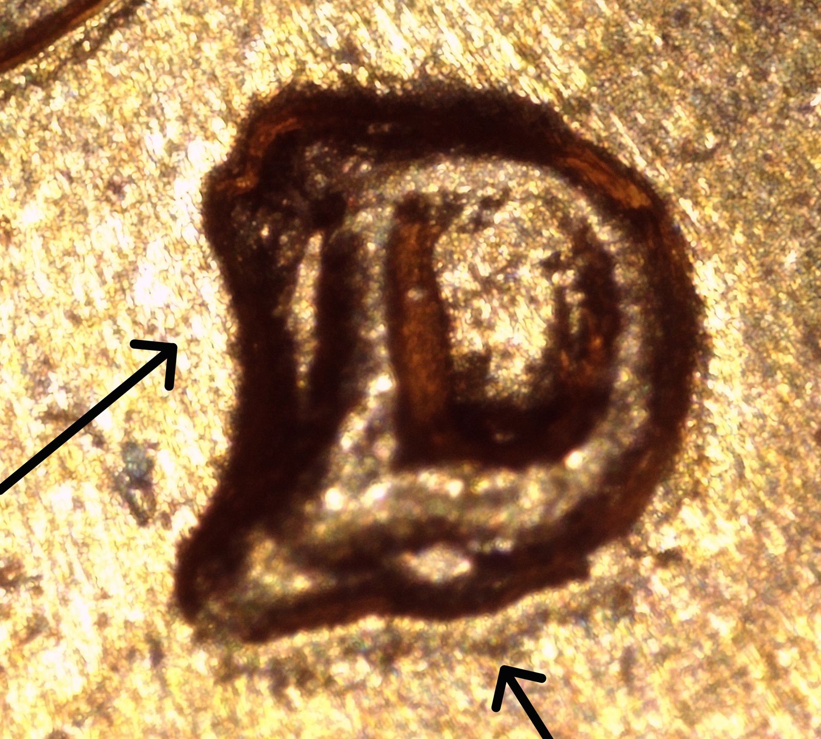 Forum image
