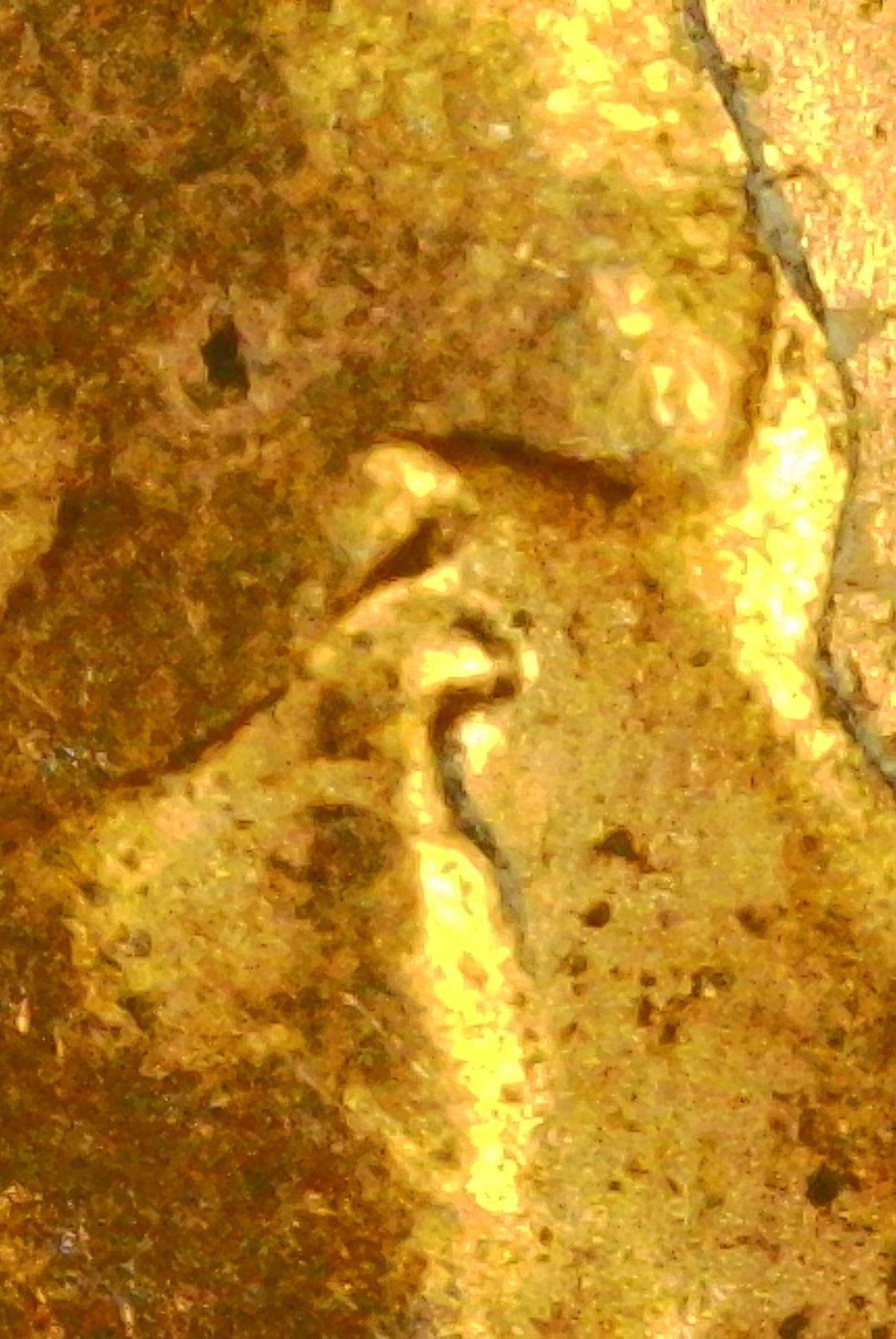 Forum image