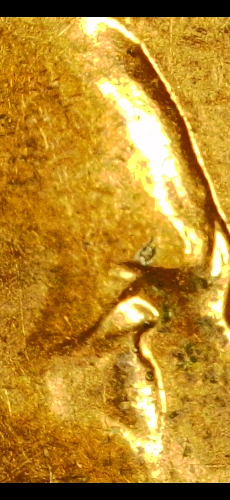 Forum image