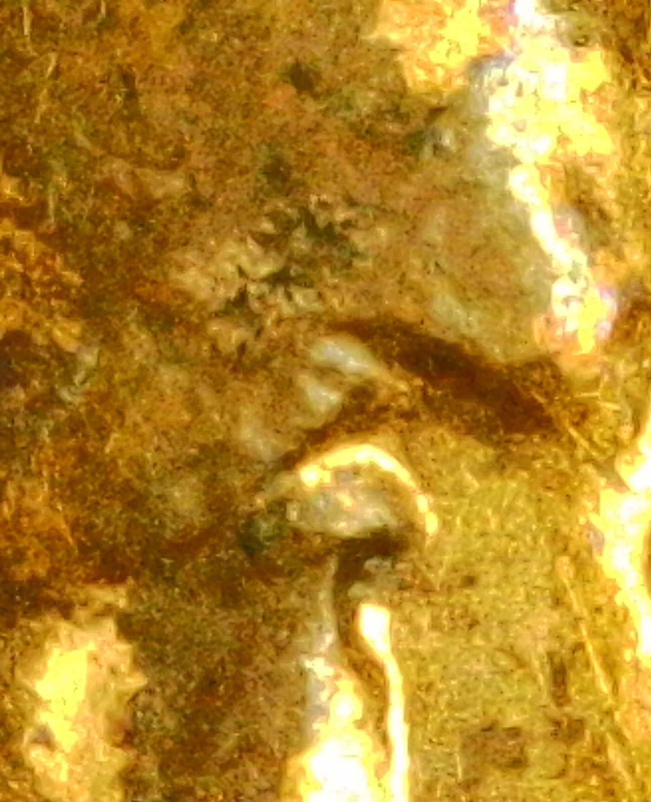 Forum image