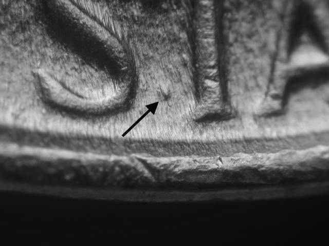 Image 13