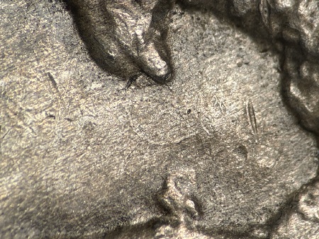 Image 13