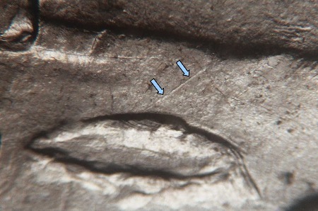 Image 17