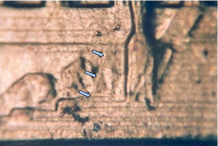Image 13