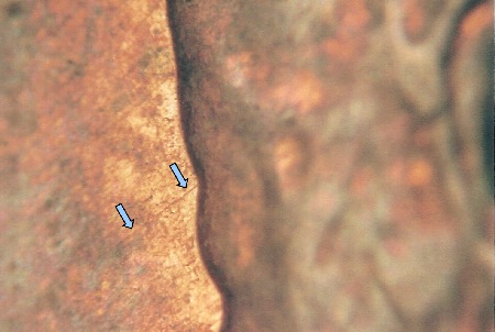 Image 15