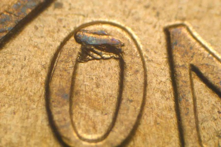 Image 6
