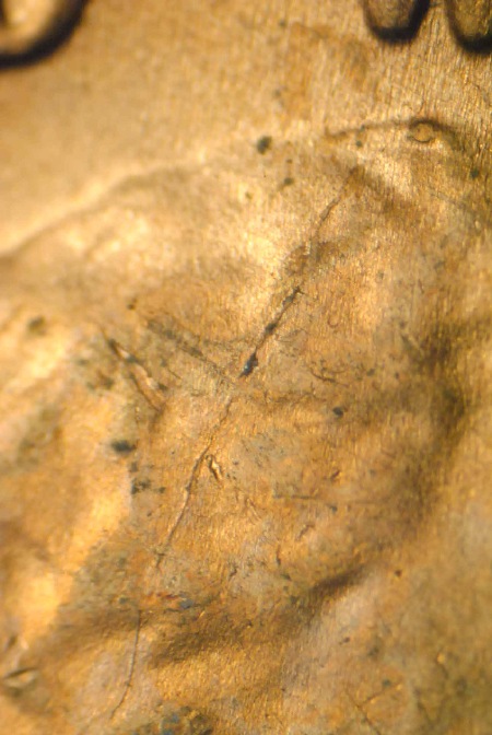 Image 14