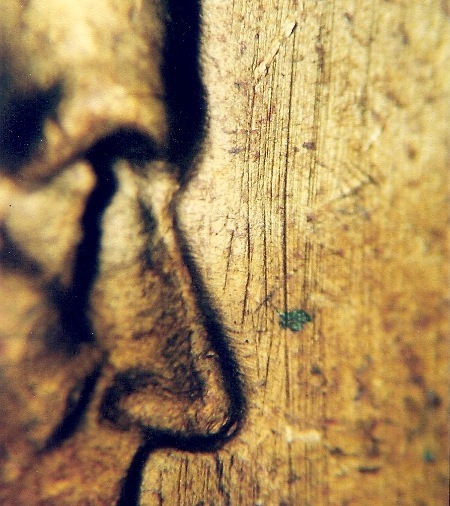 Image 24