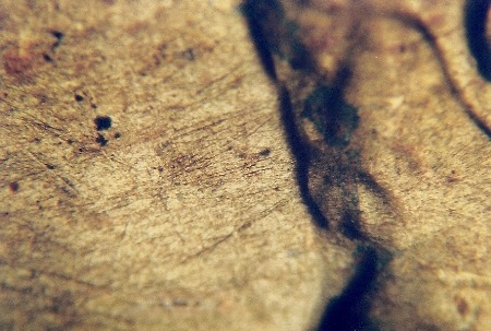 Image 33