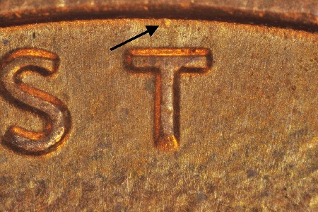 Image 13