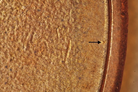 Image 14