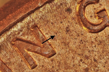 Image 14