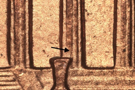 Image 8