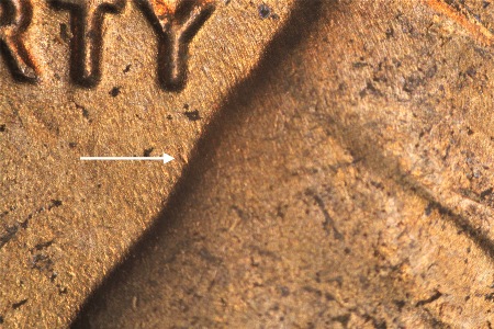 Image 14