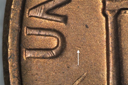 Image 16