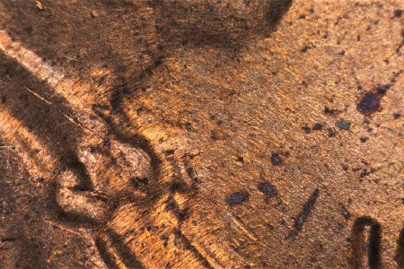Image 15