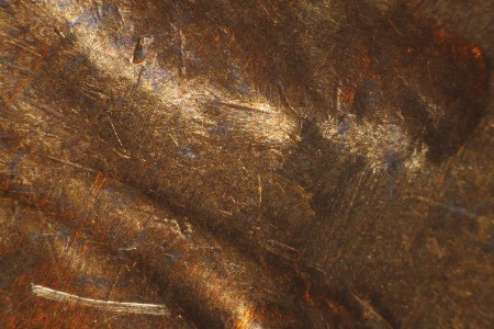 Image 23