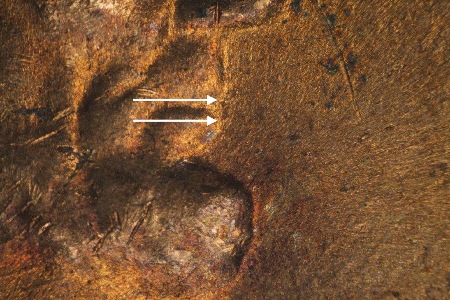 Image 17