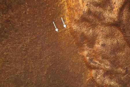 Image 33