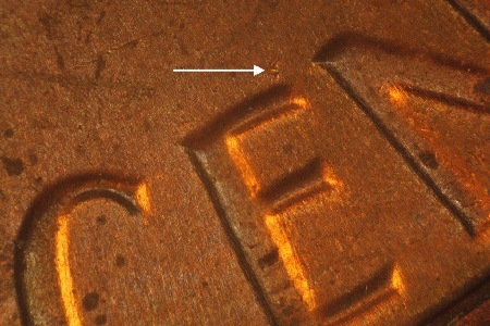 Image 43