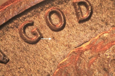 Image 14