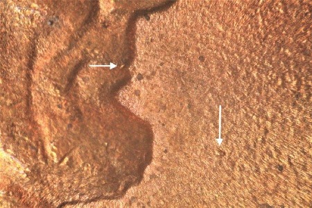 Image 15