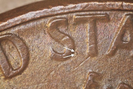 Image 20
