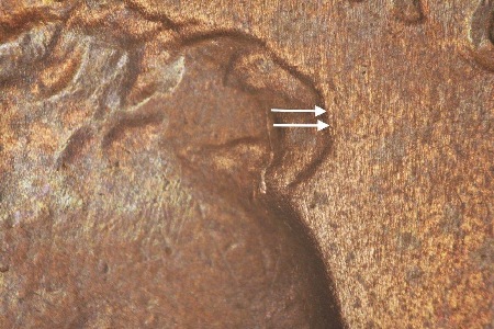 Image 13
