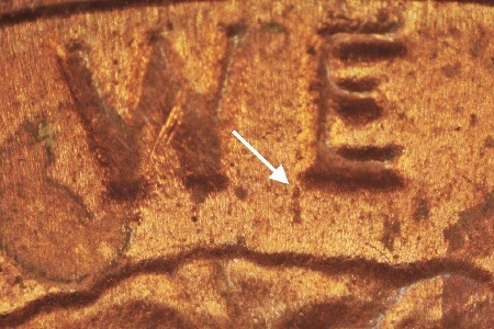 Image 28