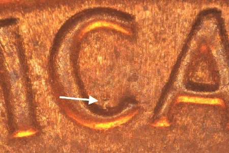 Image 13
