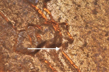 Image 9