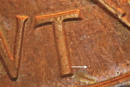 Image 13
