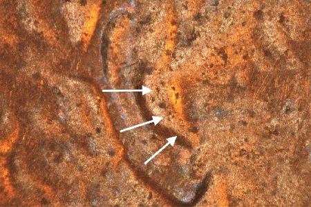 Image 15