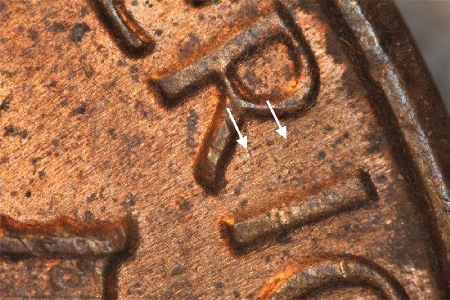 Image 16